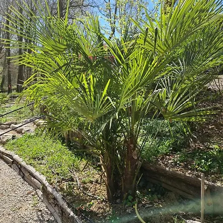 Pause Nature Maison Cosmos Avec Parking Gratuit Lapeyrouse-Fossat Exterior photo