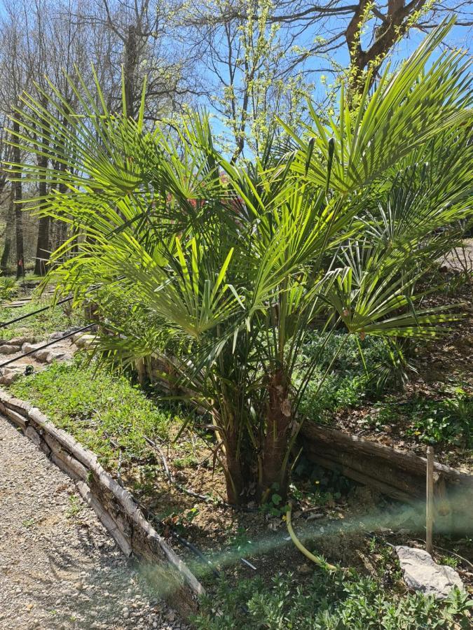Country house Pause Nature Maison Cosmos Avec Parking Gratuit Lapeyrouse-Fossat